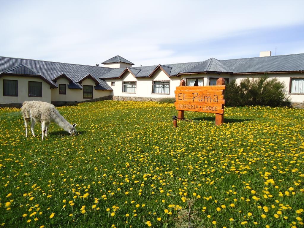 Hosteria El Puma El Chalten Eksteriør bilde